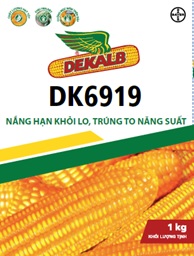 Dekalb DK6919